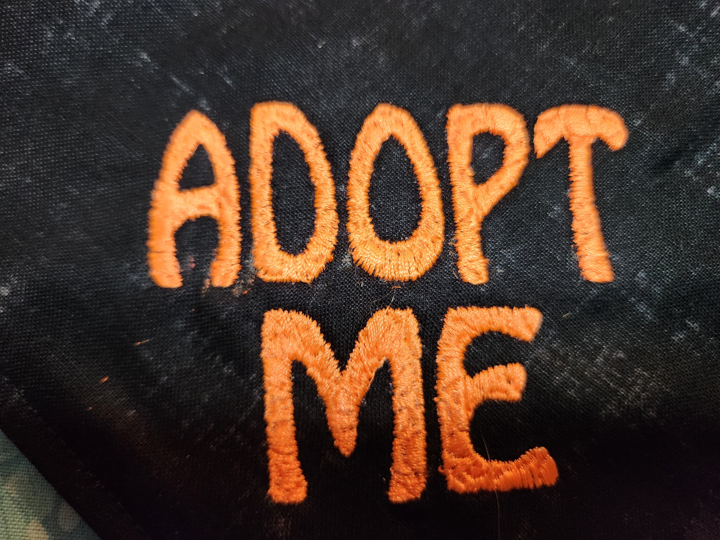 Adopt Me Embroidered Dog Bandana