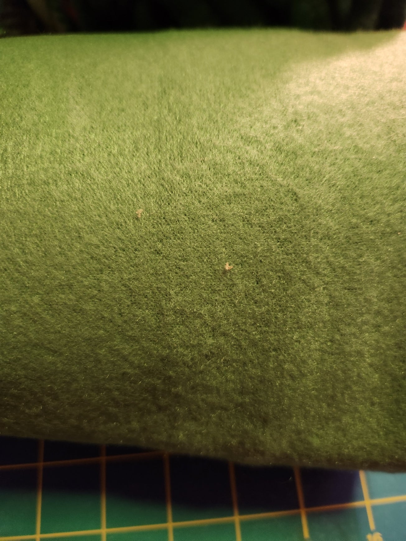Custom Embroidered Fleece Throw Blanket