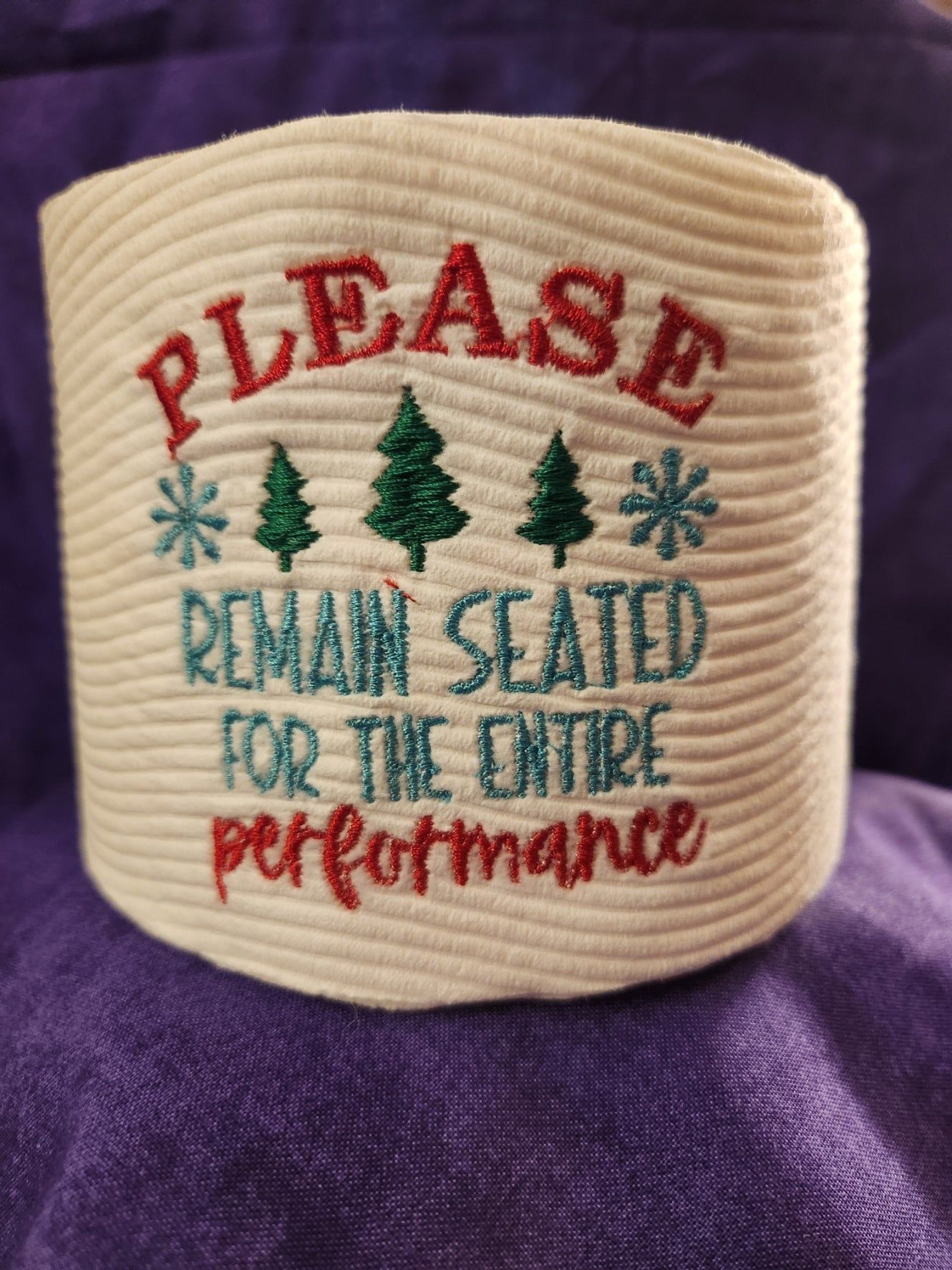 Please Remain Seated For The Entire Performance  Embroidered Toilet Paper