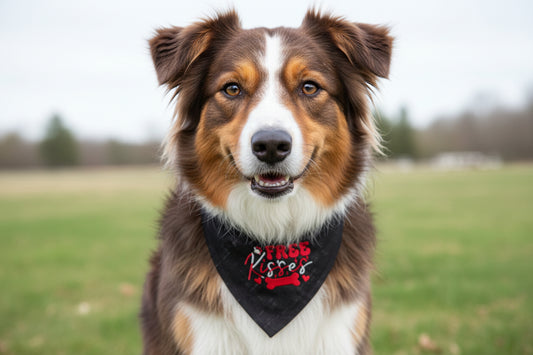 Free Kisses Embroidered Dog Bandana