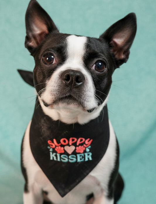 Sloppy Kisser Embroidered Dog Bandana