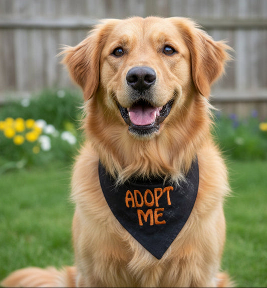 Adopt Me Embroidered Dog Bandana